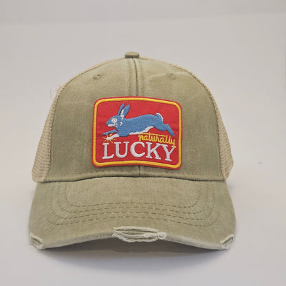 Lucky the Rabbit