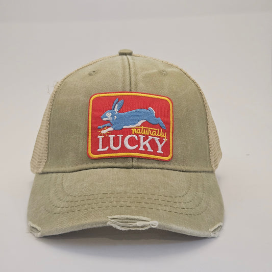 Lucky the Rabbit
