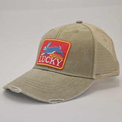 Lucky the Rabbit