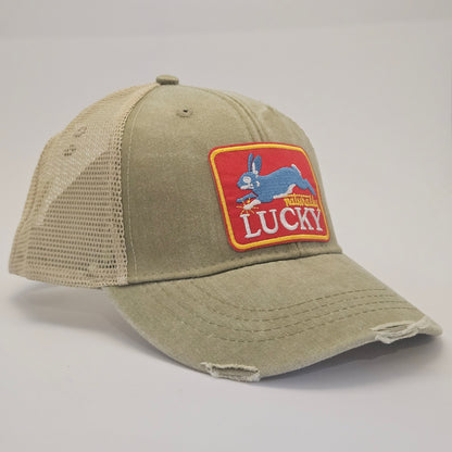 Lucky the Rabbit